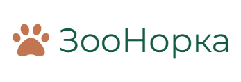 ЗооНорка